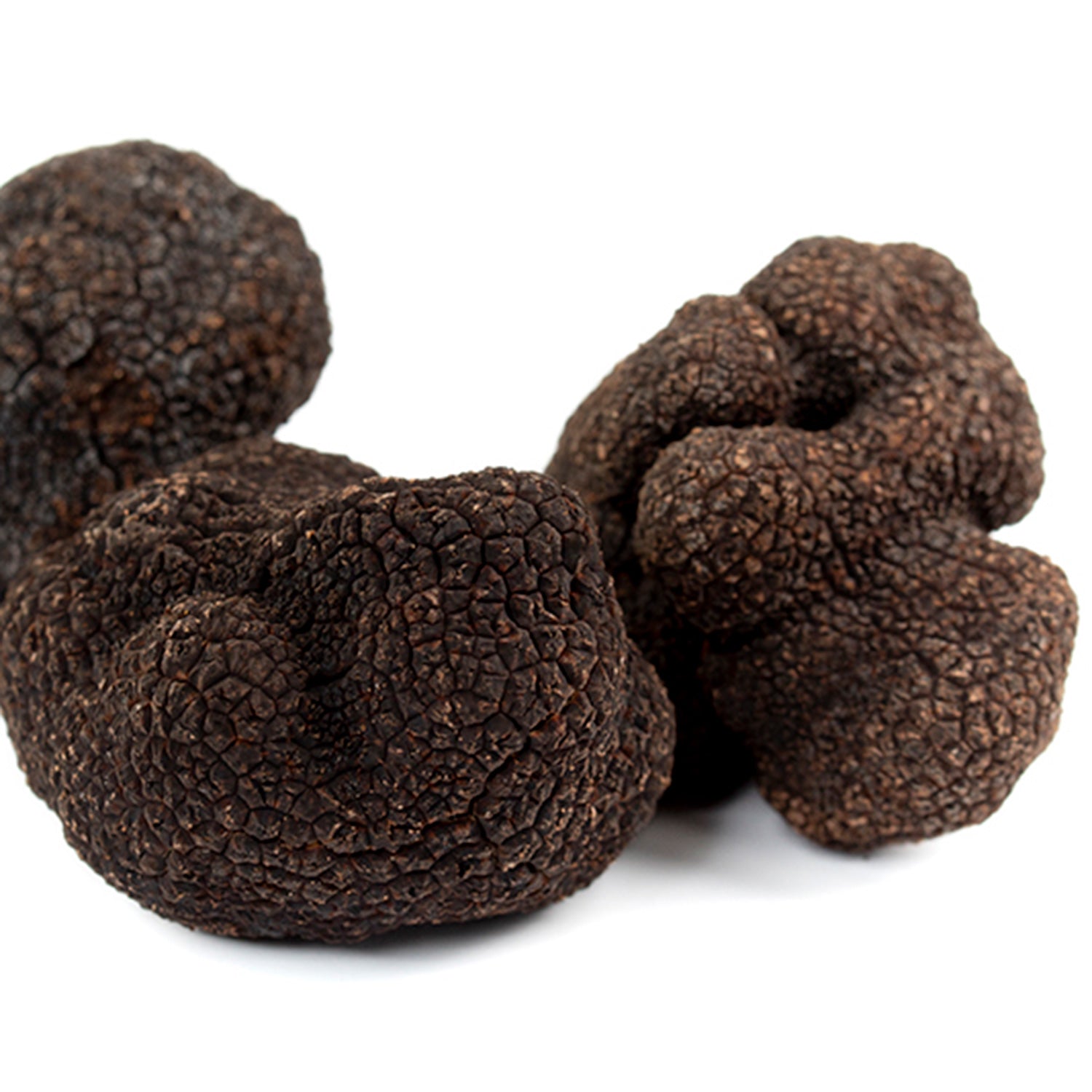 Black Truffle (Tuber Melanosporum)