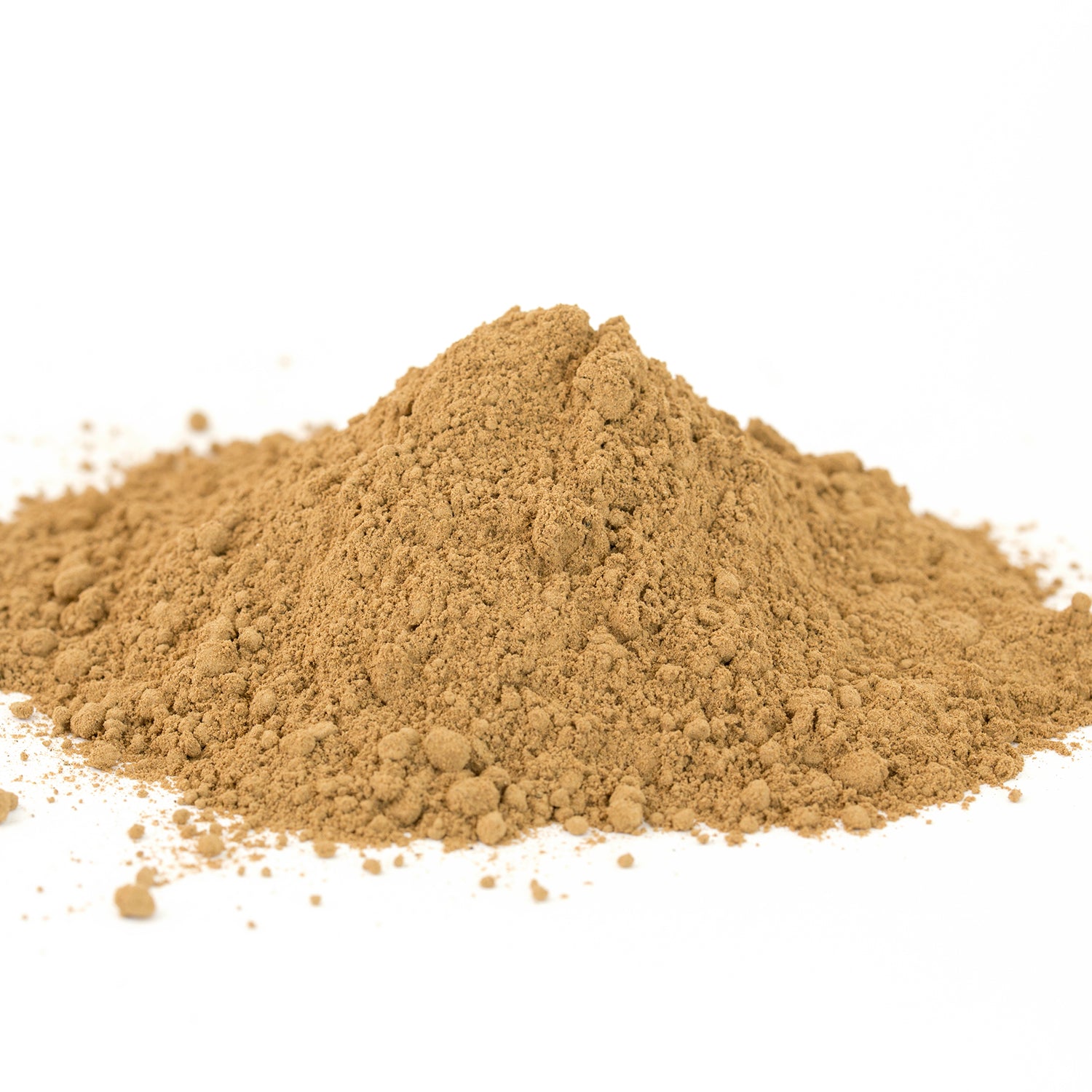 Porcini powder